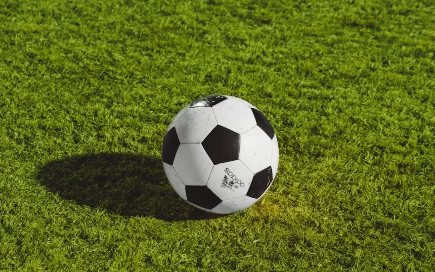 Soccer ball on grass