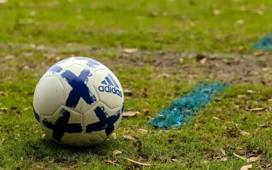 Soccer ball resting on a grass pitch
