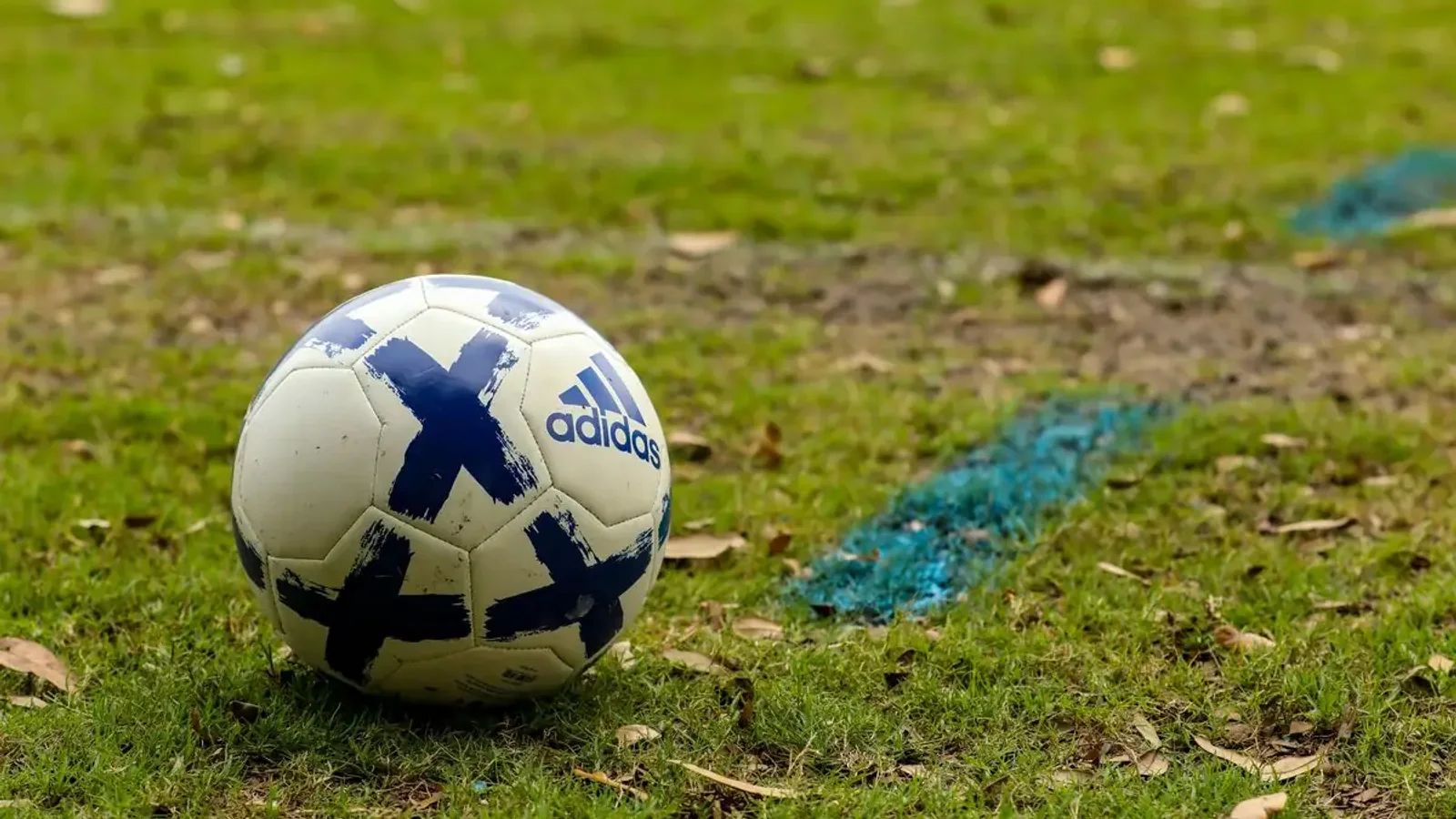 Soccer ball resting on a grass pitch
